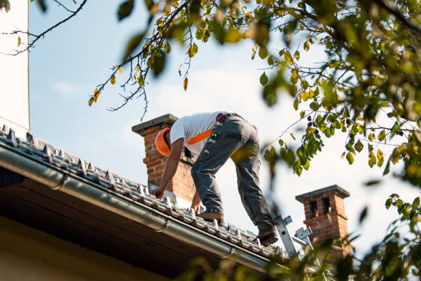 Best Roof Waterproofing Services  in Wauconda, IL