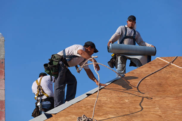 Best Heating Cable for Roof Installation  in Wauconda, IL
