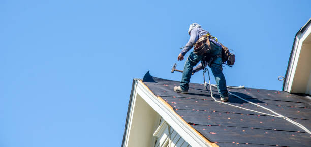 Best New Roof Installation  in Wauconda, IL